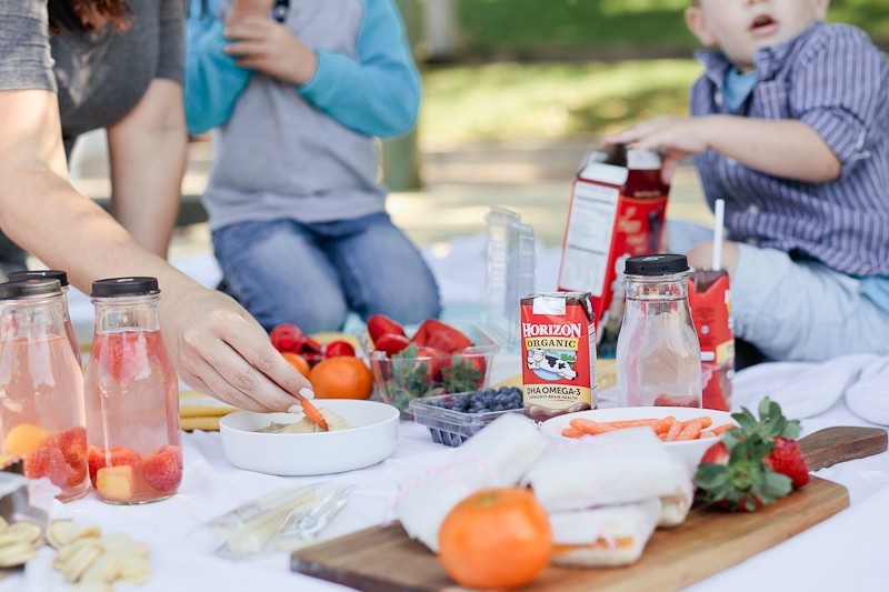 How To Plan a Picnic - A Kid Friendly Survival Guide