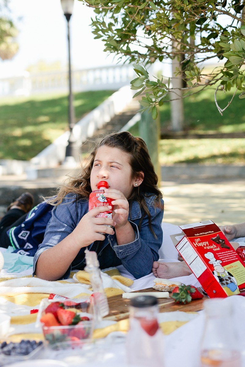 How To Plan a Picnic - A Kid Friendly Survival Guide