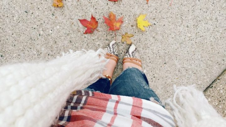 Image for An Autumn Bucket List