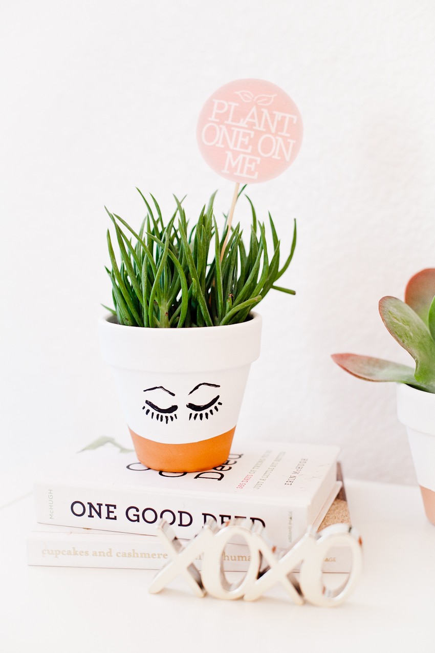 DIY Painted Planter Pot with Succulent. A Perfect Gift for any Holiday and Download the Free Printable Tags for Valentine's Day Gifts!