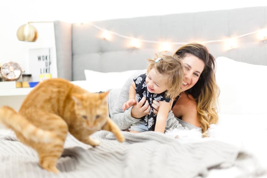 5 tips for the best baby and pet photos!! Plus, a SUPER simple DIY cat toy that your toddler with LOVE!