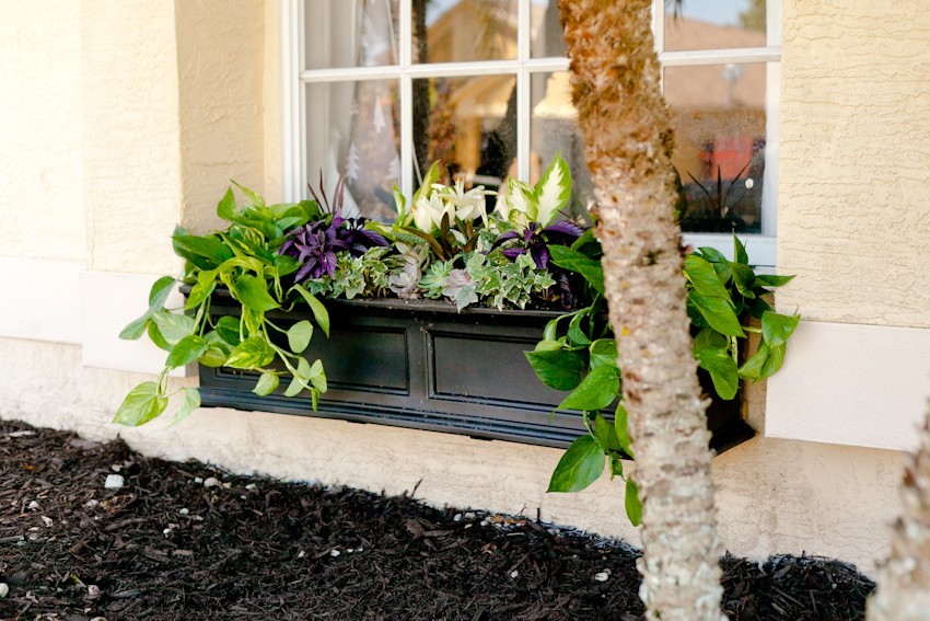 5 Tips to Create the Perfect DIY Window Box featured by popular Florida lifestyle blogger, Fresh Mommy Blog
