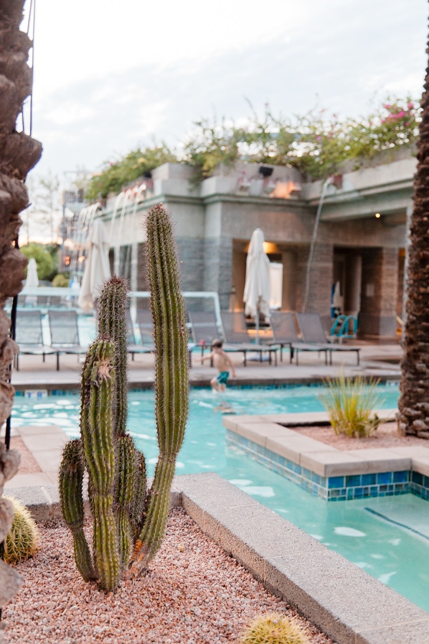 The Best Things to Do in Scottsdale, AZ with your Family. The best places to stay, eat and play!