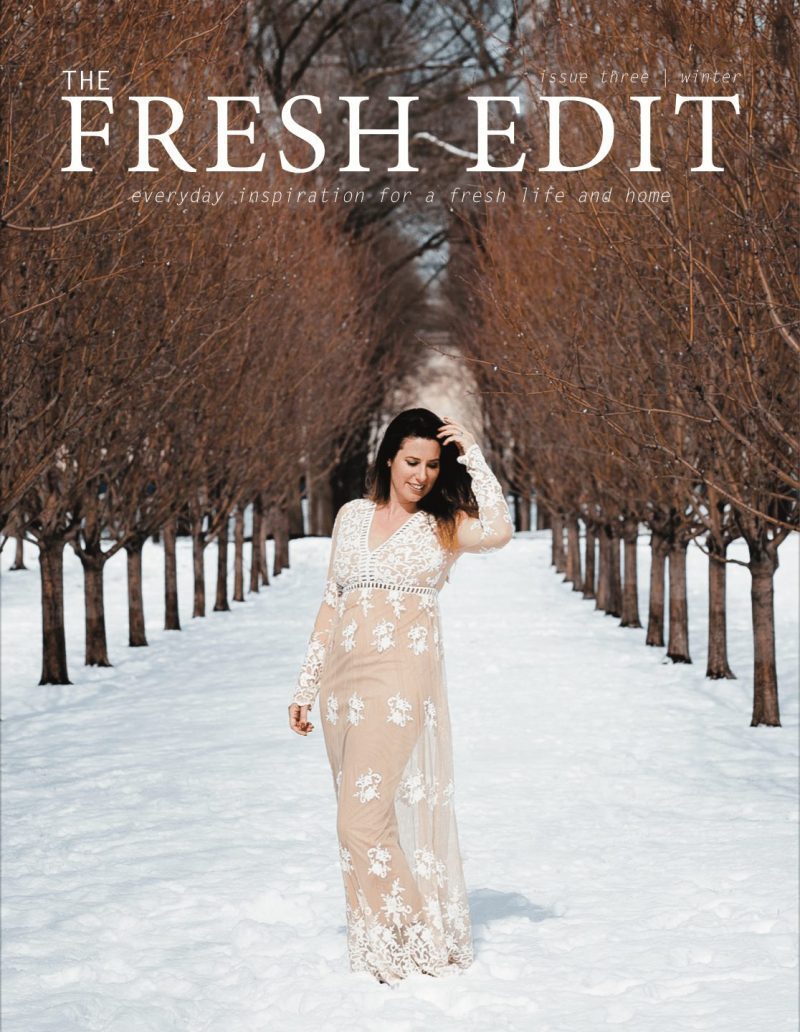 The Fresh Edit Volume 3 Fall/ Winter Edition