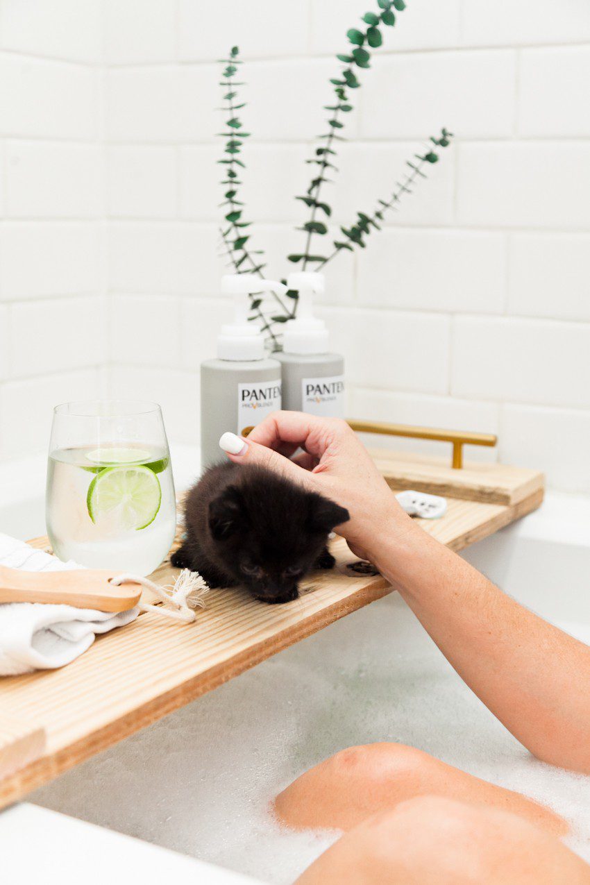 Kitten Care Tips: 5 Essentials you Need to Raise a Cat by popular lifestyle blogger Tabitha Blue of Fresh Mommy Blog: image of black cat sitting on bath tub tray and being pet by a woman sitting in a bubble bath. 