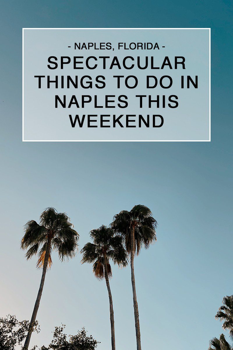 Spectacular Things to Do in Naples This Weekend | Spectacular Things to Do in Naples FL This Weekend by popular Florida blog, Fresh Mommy Blog: Pinterest image of things to do in Naples FL this weekend.
