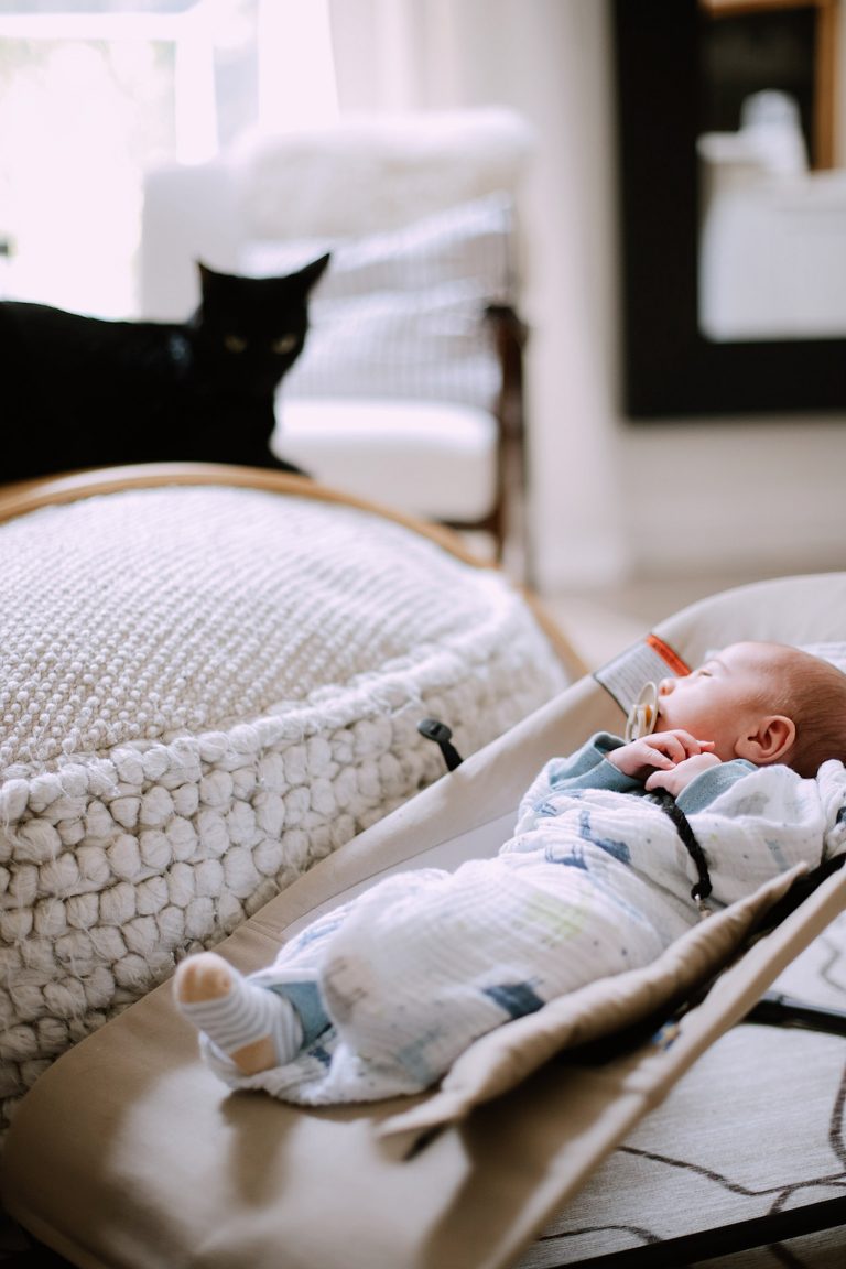 What You Don’t Know About Cats and Newborns Living Together Fresh
