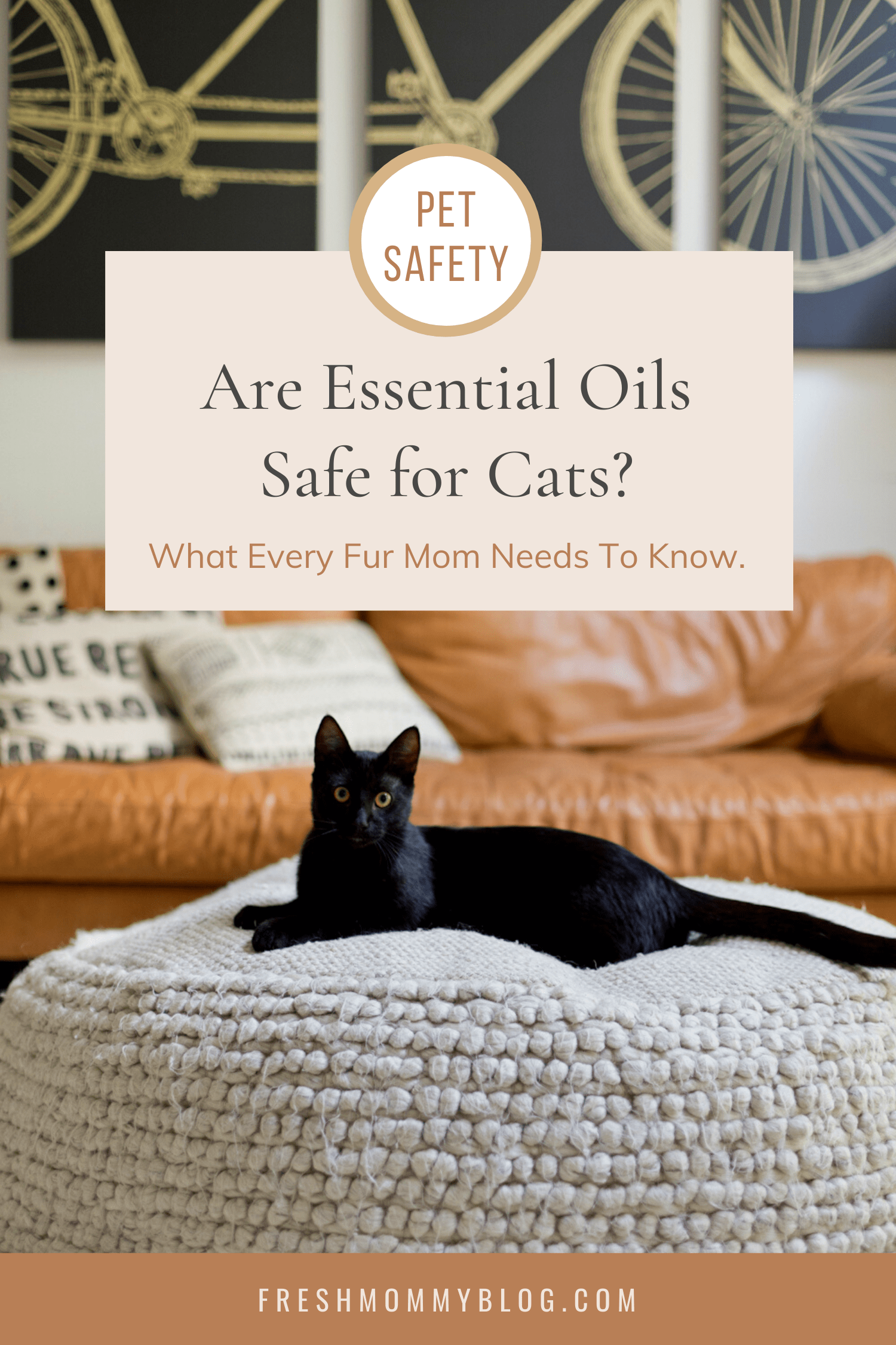 Is Essential Oil Safe for Cats, a comprehensive guide featured by top US lifestyle blogger, Tabitha Blue of Fresh Mommy Blog