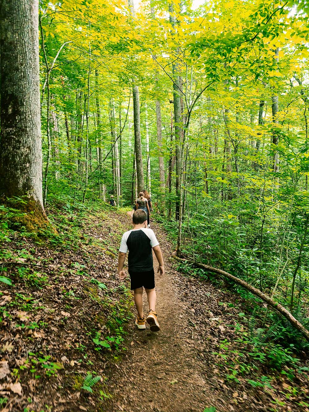 Best Things to Do in Bryson City NC with Kids | Things to do in Bryson City NC by popular Florida travel blog, Fresh Mommy Blog: image of a family hiking on a dirt trail. 