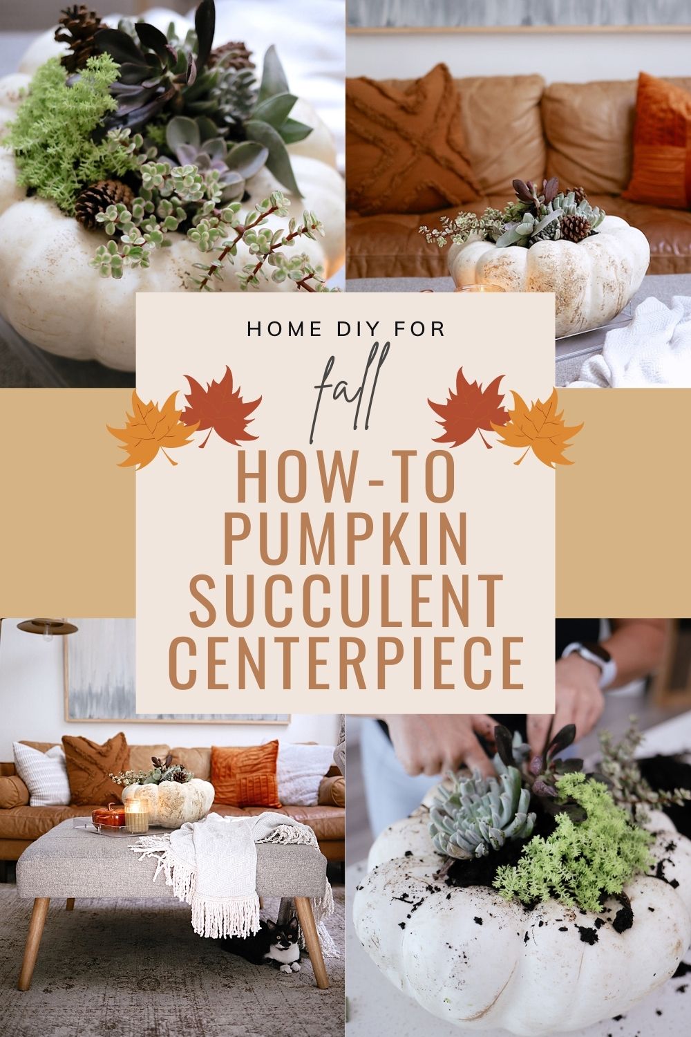 How to Make a Pumpkin Succulent Centerpiece, a tutorial featured by top US home blogger, Fresh Mommy Blog