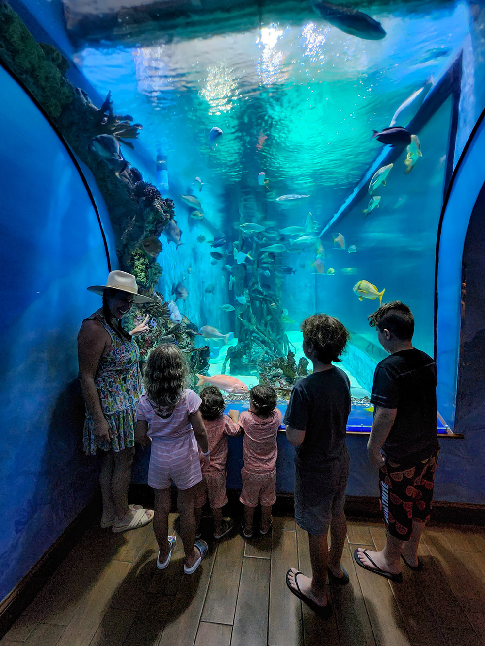 family enjoying large fish aquarium at Tradewinds restaurant