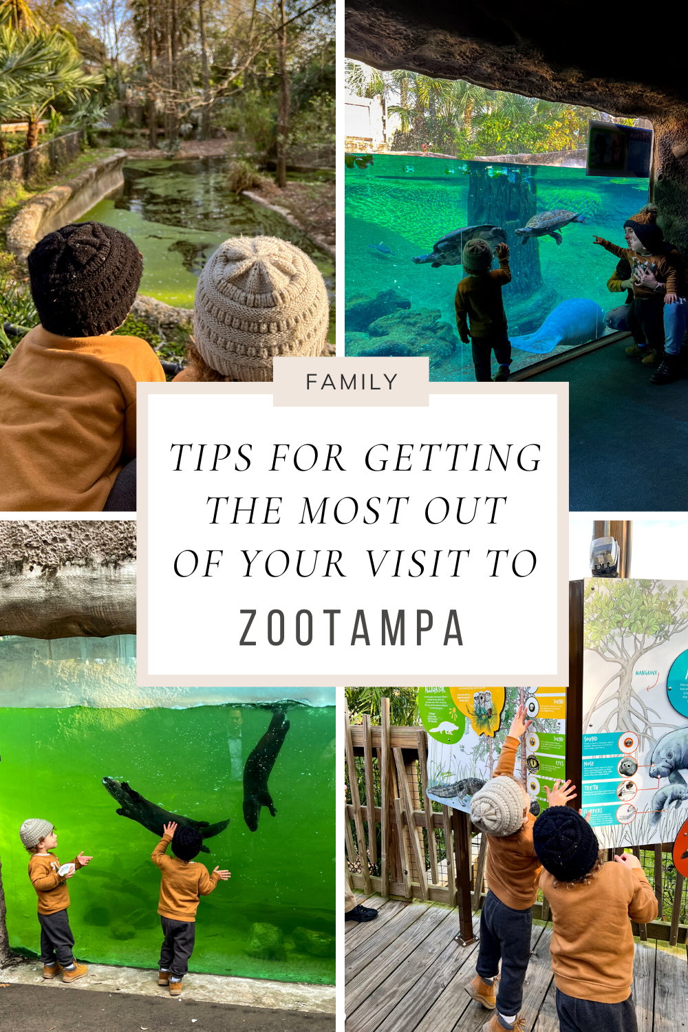 Tips for Getting the most out of your visit to Tampa Zoo