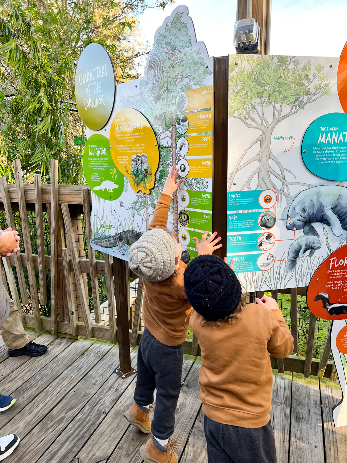 The Florida Wilds Exhibit has lots of educational opportunities for kids