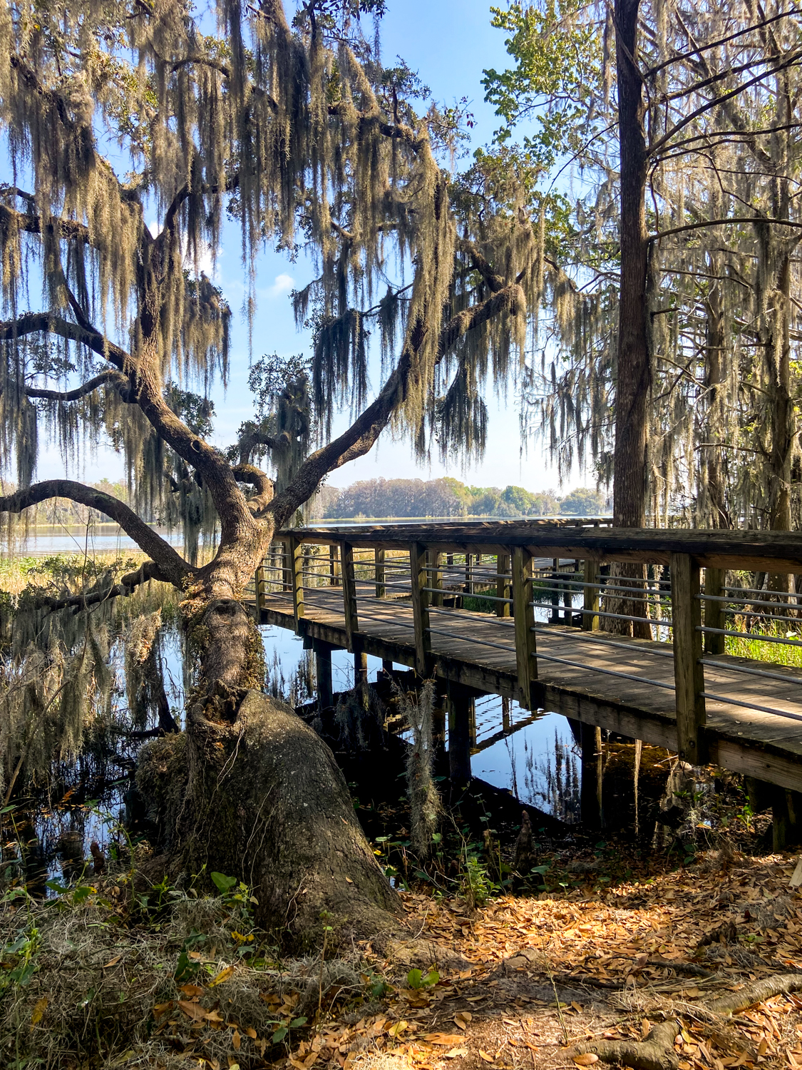 Travel Tips for A Visit to Inverness FL. A recap of where we stayed, fun outdoor activities to try, and delicious restaurants for a small-town girls' trip!
