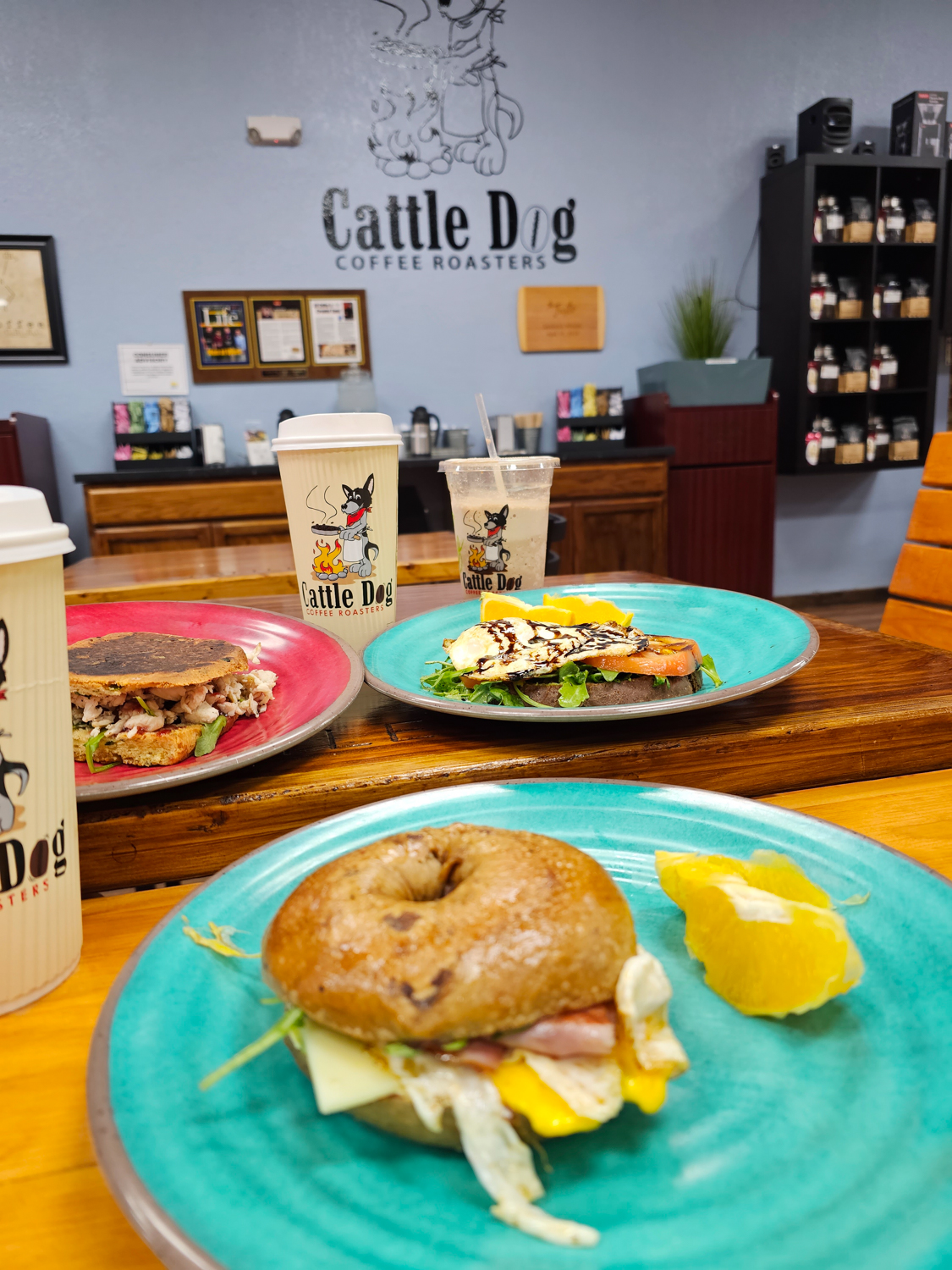 Cattle Dog Coffee Roasters! Travel Tips for A Visit to Inverness FL. A recap of where we stayed, fun outdoor activities to try, and delicious restaurants for a small-town girls' trip!