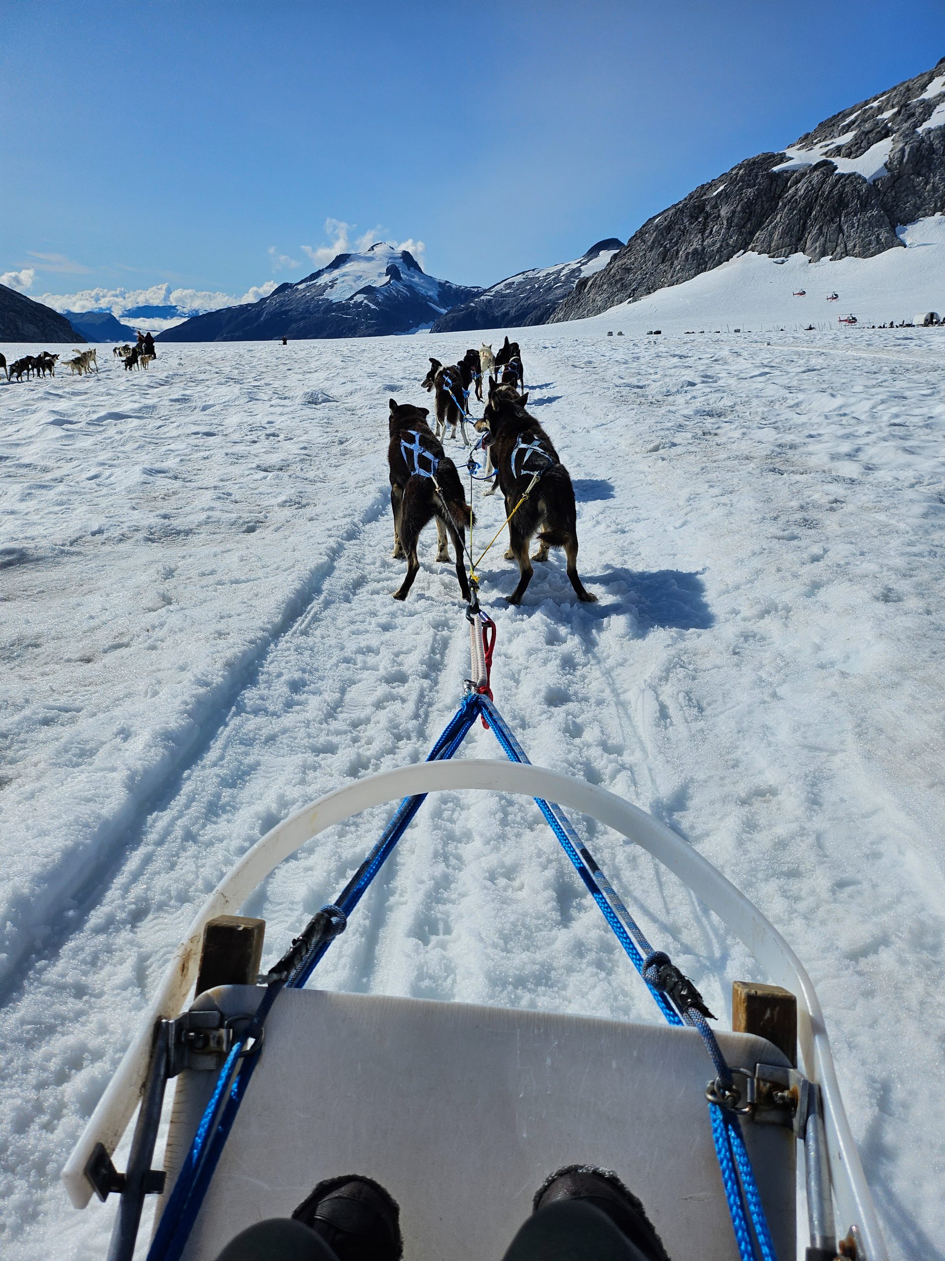 Dogsledding on a glacier in Juneau Alaska