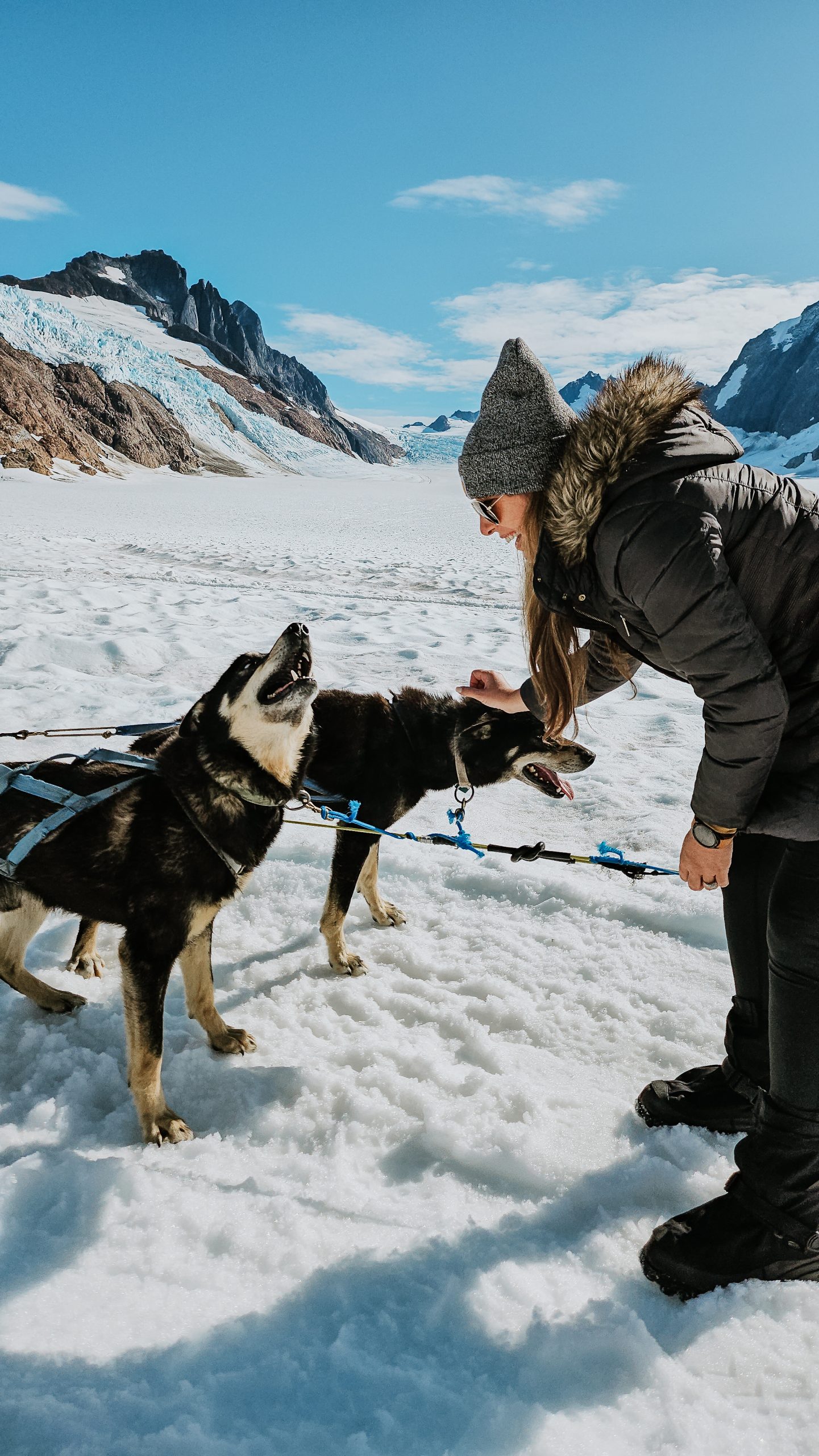 Dogsledding on a glacier in Juneau Alaska