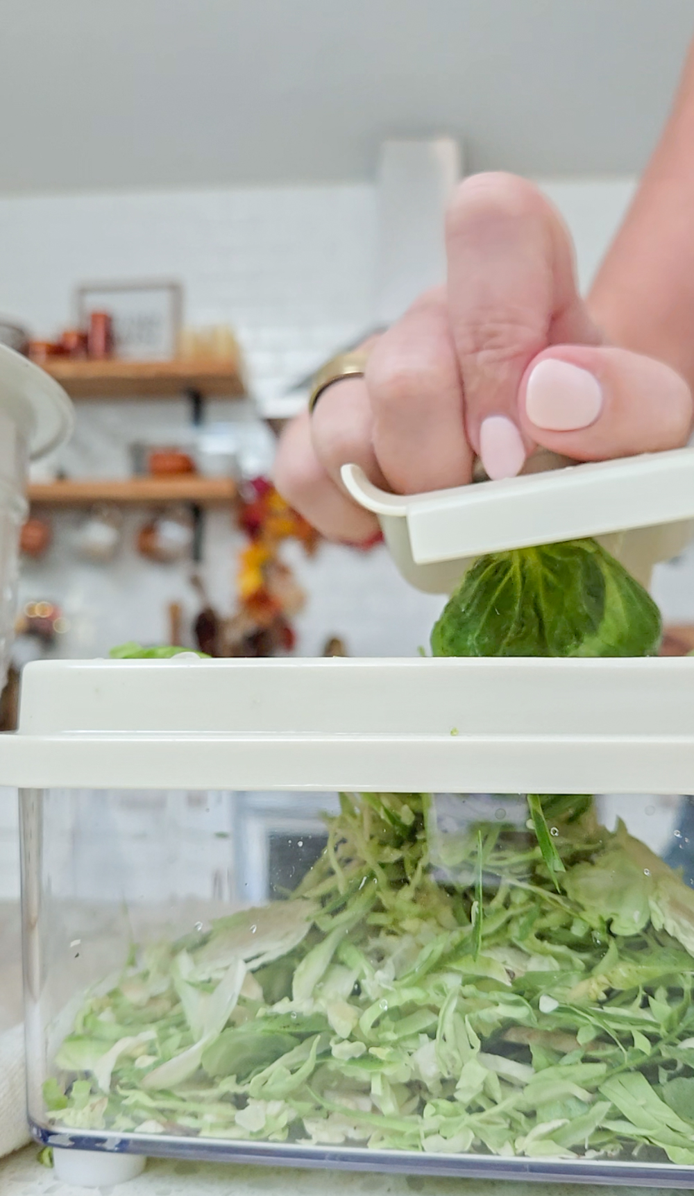 Thanksgiving Brussels Sprouts