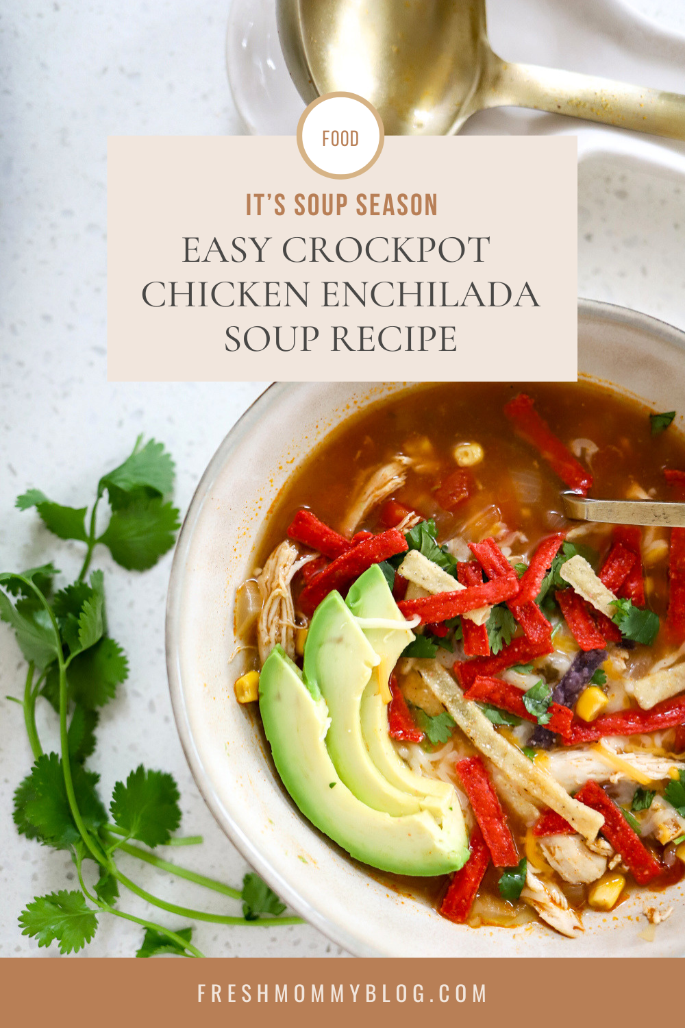 It's soup season. Time to try this easy crockpot chicken enchilada soup recipe!